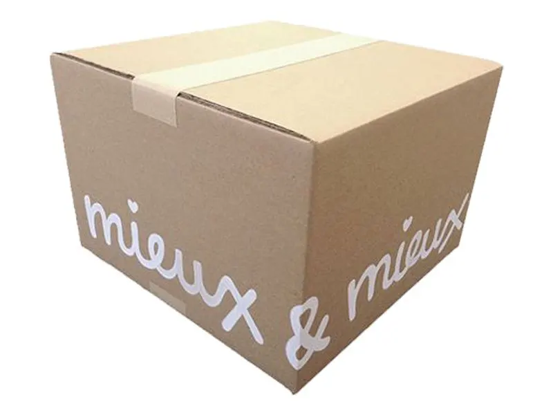 Branded-Mailer-Boxes-4-_1761570591