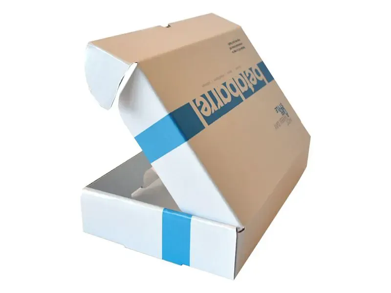 Earlock-White-Corrugated-Boxes-4_1761824812