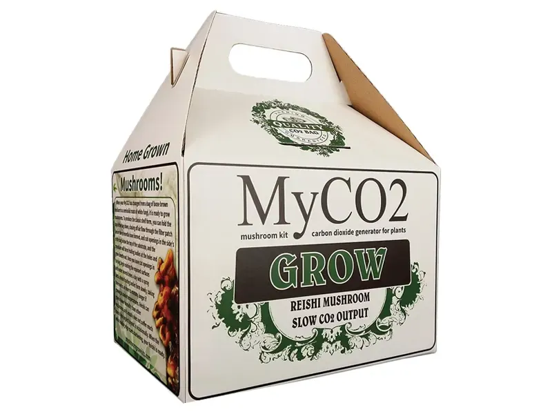 Handle-reishi-mushroom-Boxes-4