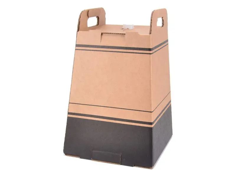 Kraft-Tall-Carrier-Boxes