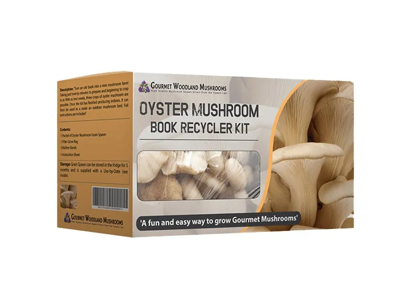 Mushroom-kit-Boxes-window