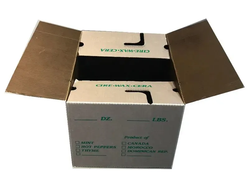 Printed-Literature-Mailer-Boxes-1