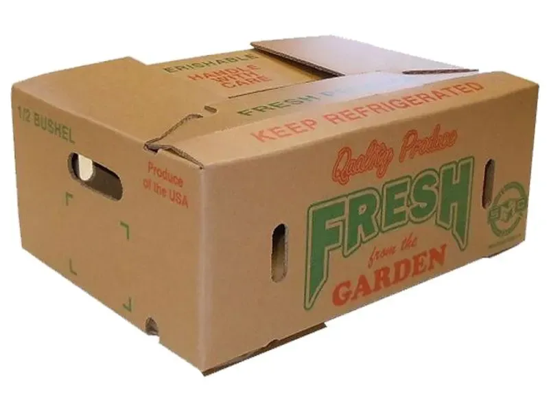 Printed-Literature-Mailer-Boxes-3