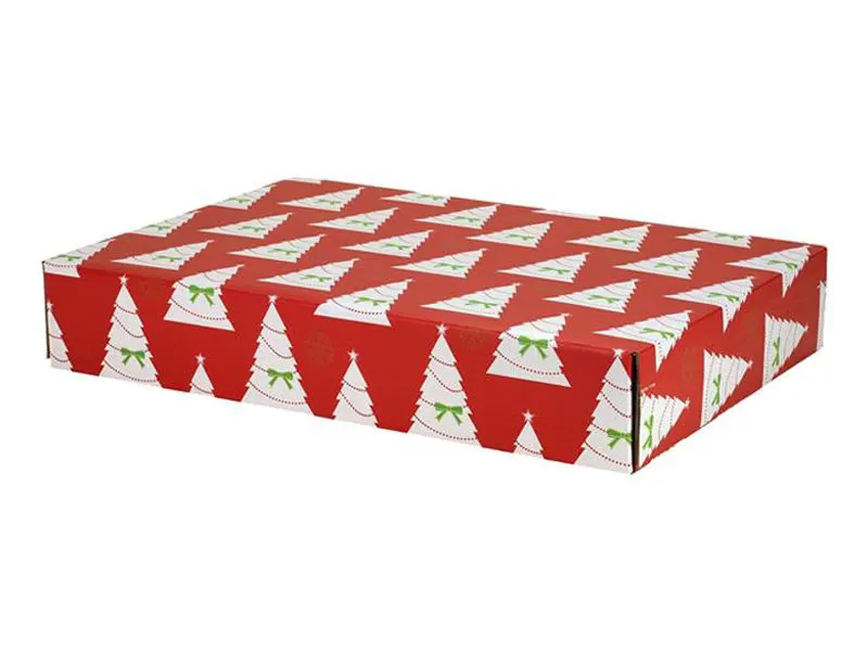 Rectangle-Christmas-Shipping-Boxes-3-