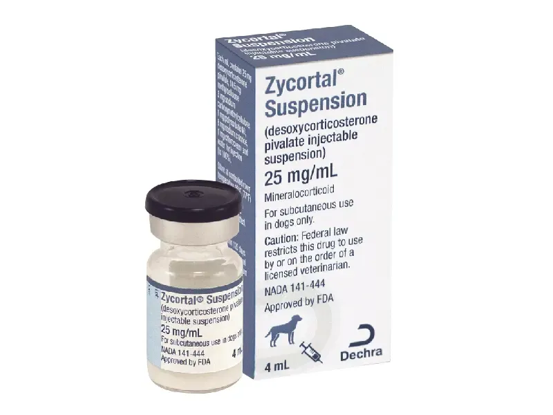 Rectangle Prescription Vial Boxes 6