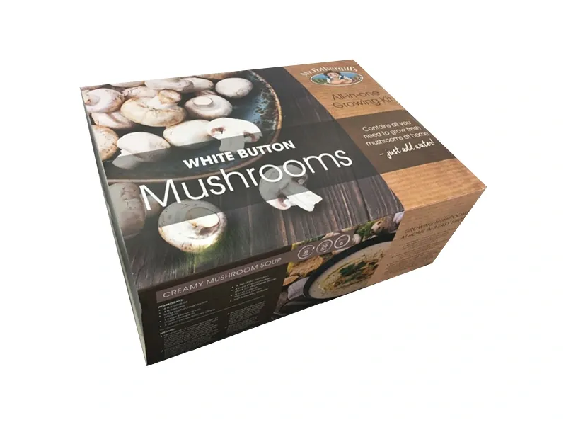 Rectangular-frozen-mushroom-boxes