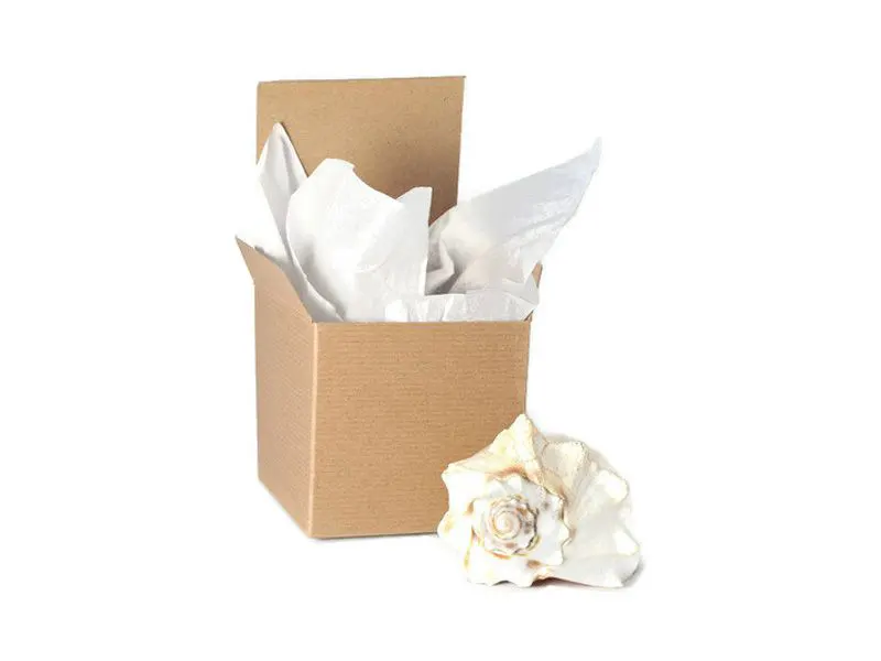 Tucktop-Favor-Boxes-4-