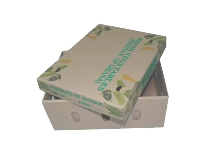 Two-piece-Frozen-Mushroom-Boxes-5