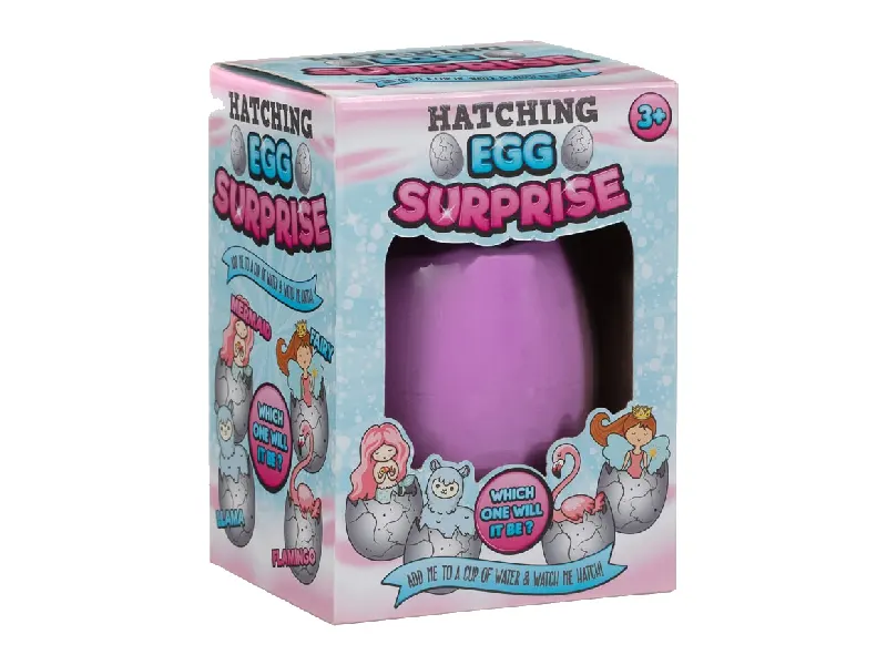 Window-hatching-egg-toy-Boxes-1-