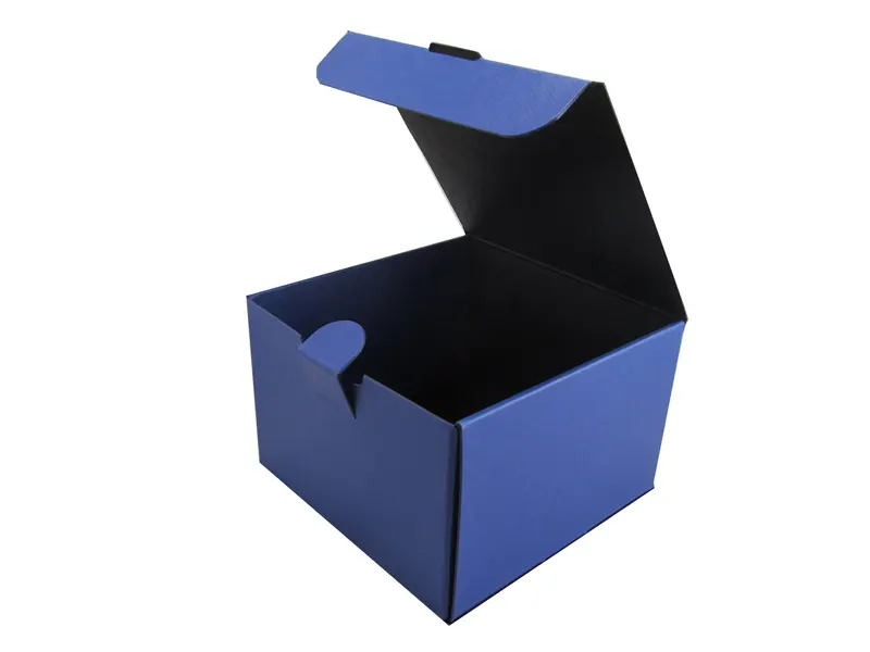 locking-tab-Boxes-4-