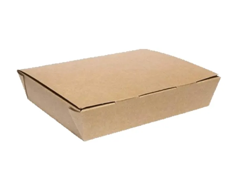 rectangle-bio-food-boxes-5