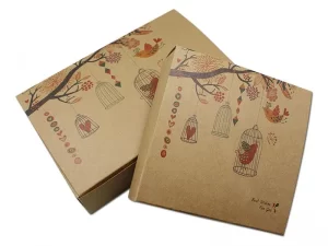 Eco Friendly Kraft Light Weight Mailer Boxes